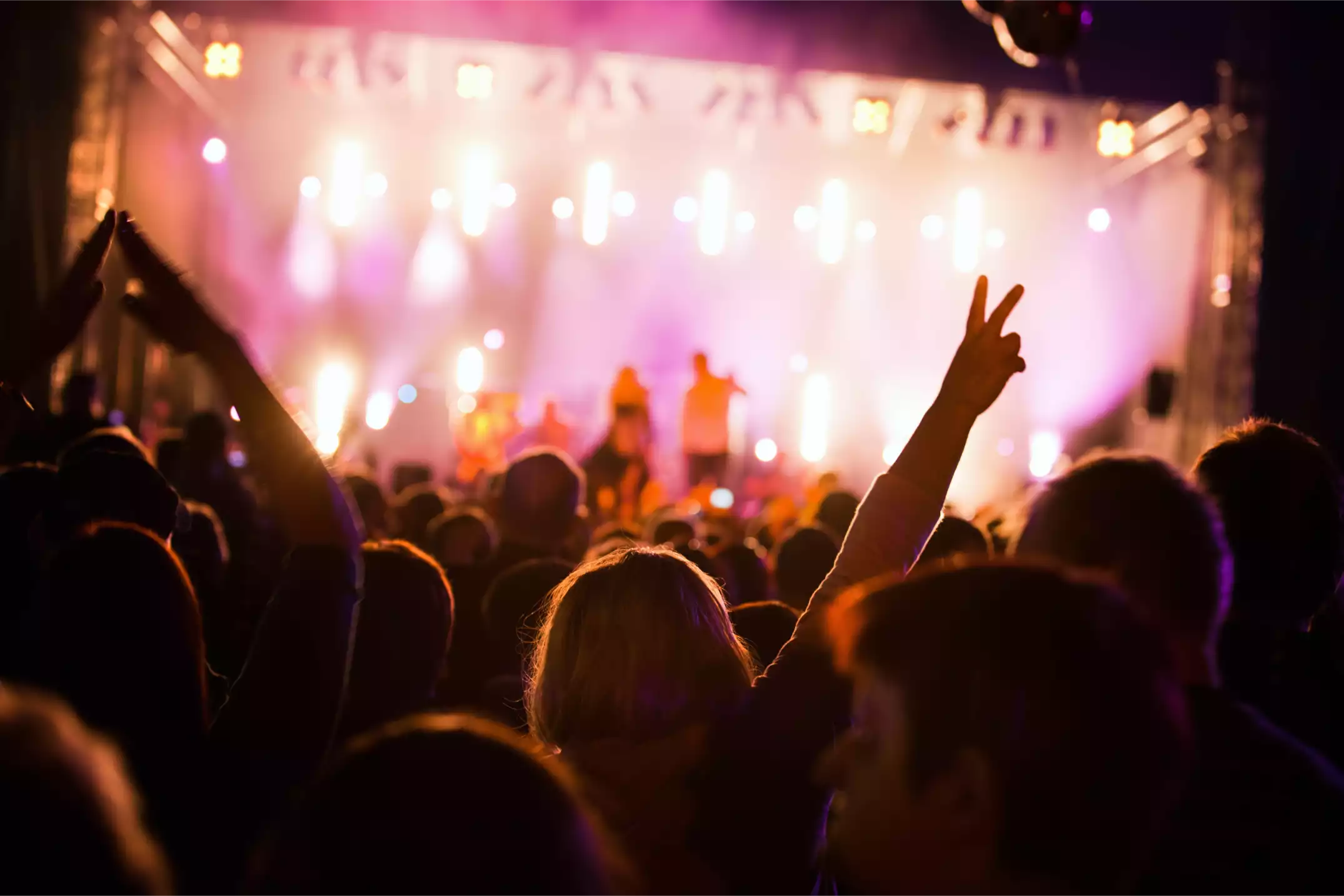 publico en concierto